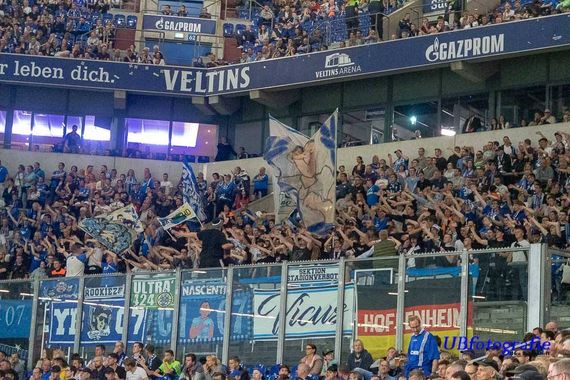 FC Schalke 04 vs TSG Hoffenheim (2-5) (1)