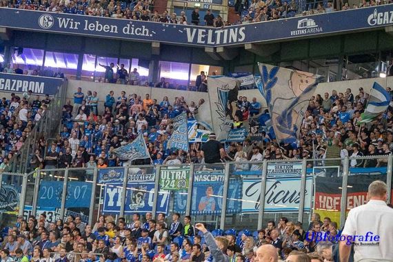 FC Schalke 04 vs TSG Hoffenheim (2-5) (2)
