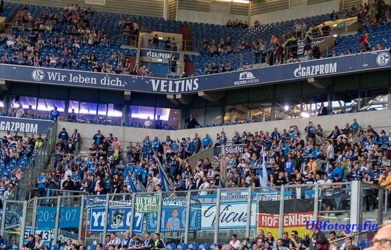 FC Schalke 04 vs TSG Hoffenheim (2-5) (3)