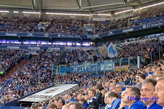 FC Schalke 04 vs TSG Hoffenheim (2-5) (5)