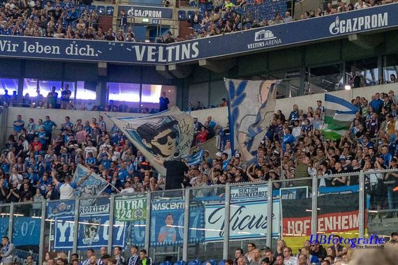 FC Schalke 04 vs TSG Hoffenheim (2-5) (6)