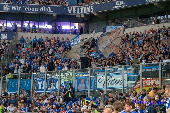 FC Schalke 04 vs TSG Hoffenheim (2-5) (9)