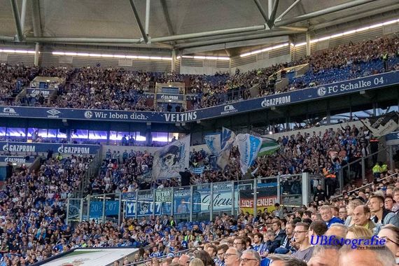 FC Schalke 04 vs TSG Hoffenheim (2-5) (10)