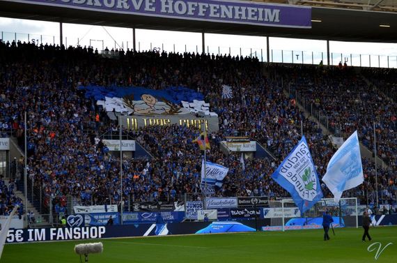 TSG Hoffenheim vs Borussia Dortmund (1-1) (11)