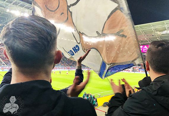 RB Leipzig vs TSG Hoffenheim (3-1) (6)