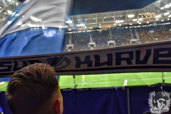 TSG Hoffenheim vs Borussia Dortmund (2-1) (9)