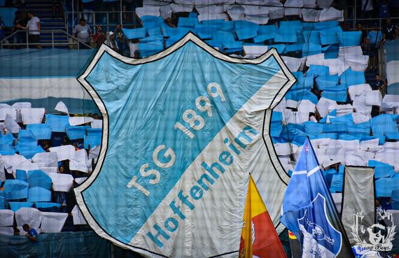 TSG Hoffenheim vs Werder Bremen (3-2) (11)
