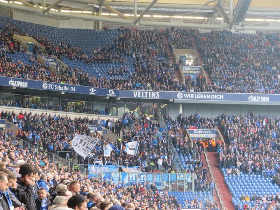 FC Schalke 04 vs TSG Hoffenheim (1-1) (1)