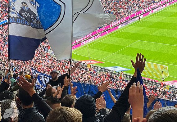 FC Bayern München vs TSG Hoffenheim (1-2) (14)