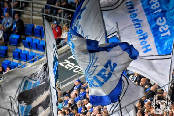 TSG Hoffenheim vs FC Schalke 04 (2-0) (8)