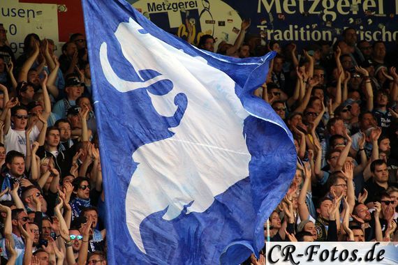 1. FC Heidenheim 1846 vs TSV 1860 München (2-1) (15)