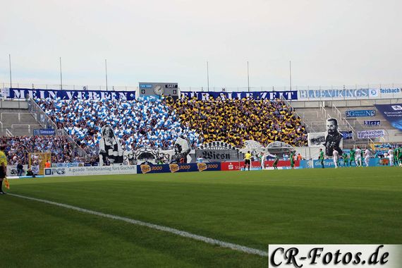 TSV 1860 München vs 1. FC Schweinfurt 05 (3-1) (12)