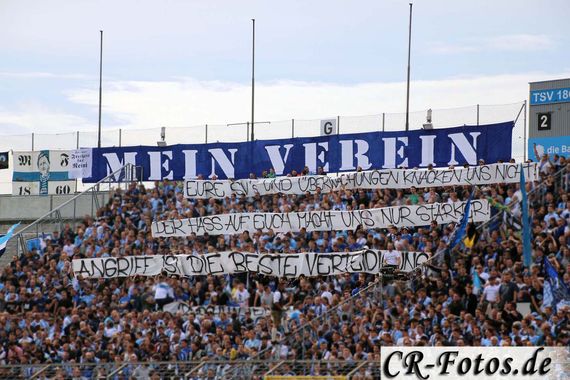 TSV 1860 München vs 1. FC Schweinfurt 05 (3-1) (17)