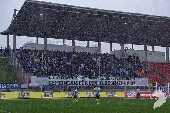 FSV Zwickau vs TSV 1860 München (5-2) (1)