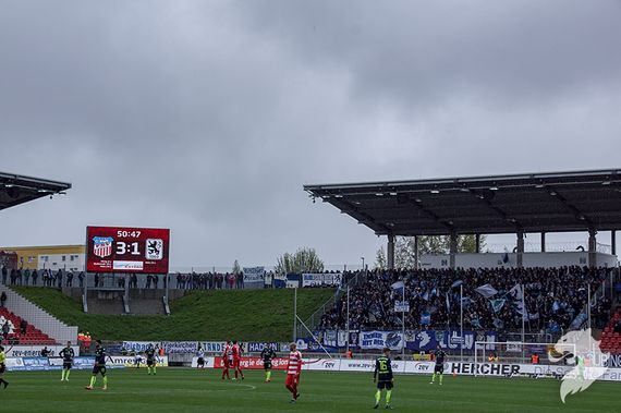 FSV Zwickau vs TSV 1860 München (5-2) (16)