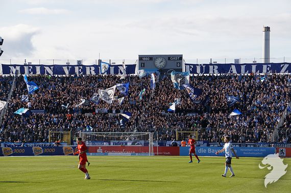 TSV 1860 München vs Viktoria Köln (4-2) (5)