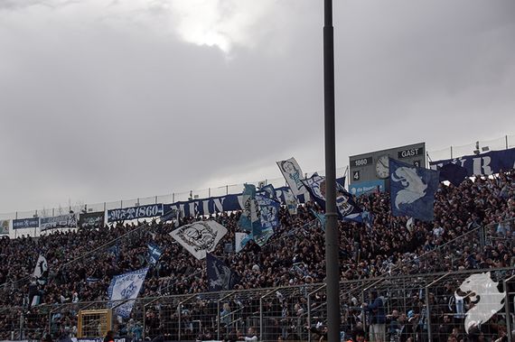 TSV 1860 München vs Chemnitzer FC (4-3) (6)