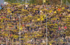 TSV Alemannia Aachen vs VfB Stuttgart (2-4)