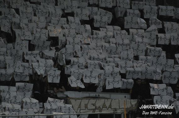 Rot-Weiss Essen vs TSV Alemannia Aachen (1-2) (2)