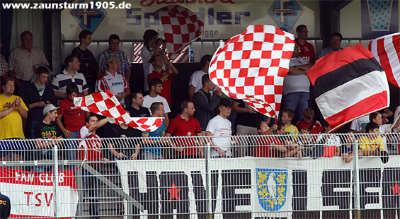 TSV Havelse vs VFC Plauen (1-0) (2)