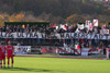 VfB Germania Halberstadt vs Hallescher FC (2-1)