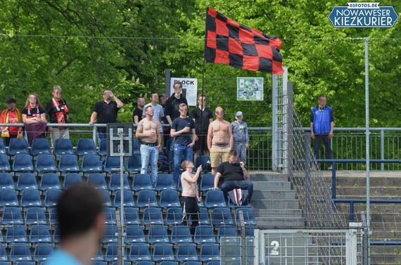 SV Babelsberg 03 vs VfB Germania Halberstadt (3-1) (4)