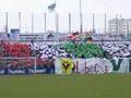 VfB Lübeck vs 1. FC Union Berlin (2-0)