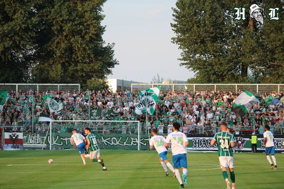 VfB Lübeck vs VfL Wolfsburg II (1-2) (10)