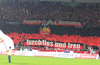 VfB Stuttgart vs Borussia Mönchengladbach (1-0)