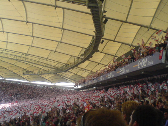 VfB Stuttgart vs FC Bayern München (2-0) (21)