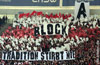 VfB Stuttgart vs Hamburger SV (1-0)