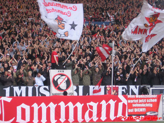 VfB Stuttgart vs Hamburger SV (1-0) (33)