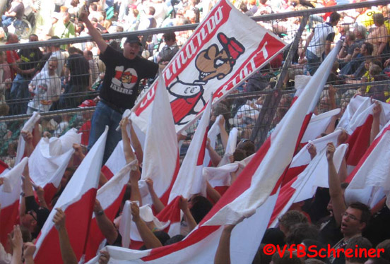 VfL Wolfsburg vs VfB Stuttgart (4-0) (5)