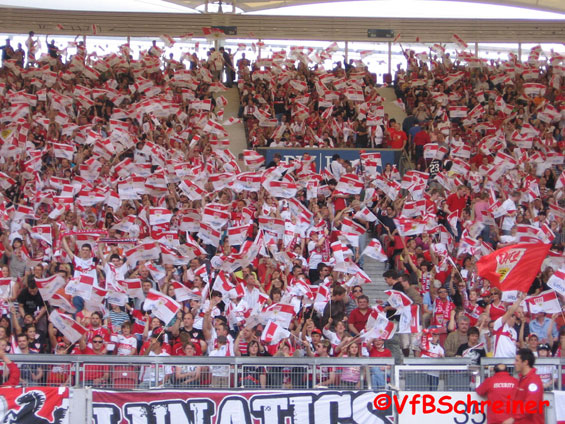 VfB Stuttgart vs Hamburger SV (1-0) (19)