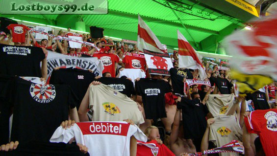 VfL Wolfsburg vs VfB Stuttgart (2-0) (6)