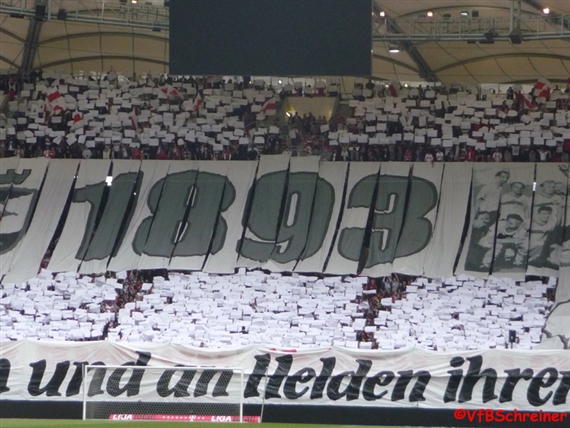 VfB Stuttgart vs VfL Wolfsburg (3-2) (13)