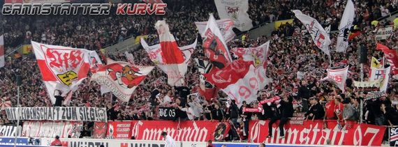 VfB Stuttgart vs TSG Hoffenheim (0-3) (8)