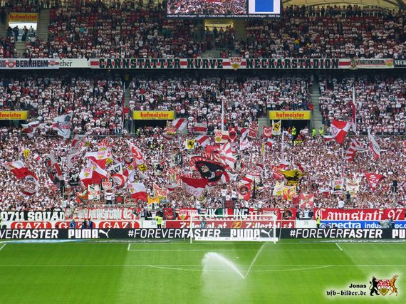 VfB Stuttgart vs 1. FC Köln (1-3) (7)