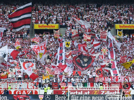 VfB Stuttgart vs 1. FC Köln (1-3) (10)