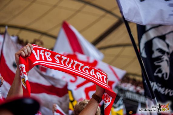 VfB Stuttgart vs 1. FC Köln (1-3) (12)