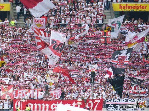 VfB Stuttgart vs 1. FC Köln (1-3) (14)
