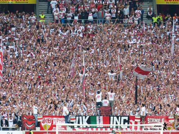 VfB Stuttgart vs 1. FC Köln (1-3) (33)