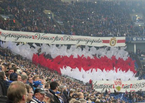 FC Schalke 04 vs VfB Stuttgart (1-1)