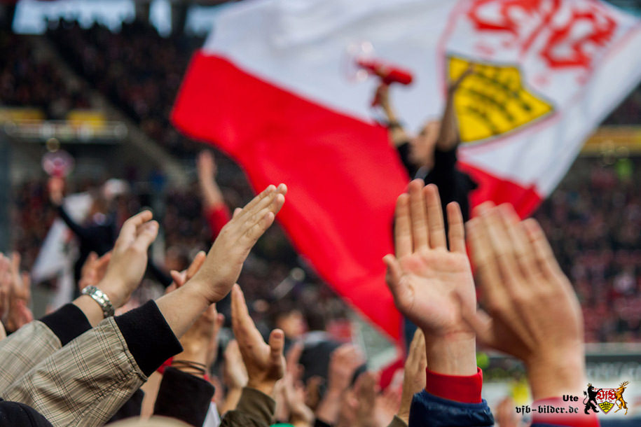 VfB Stuttgart vs FC Ingolstadt 04 (1-0) (15)