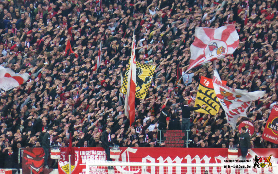 VfB Stuttgart vs FC Ingolstadt 04 (1-0) (21)