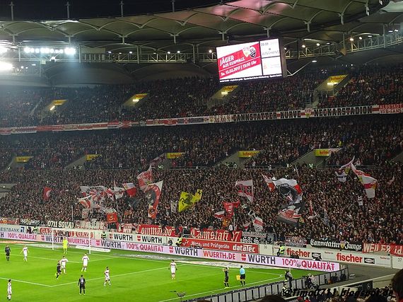 VfB Stuttgart vs Fortuna Düsseldorf (2-0) (8)