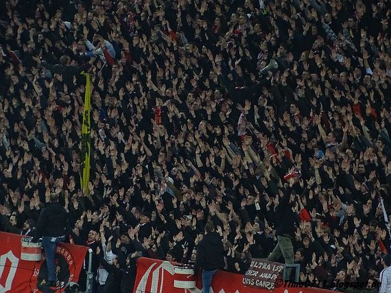 VfB Stuttgart vs Fortuna Düsseldorf (2-0) (10)