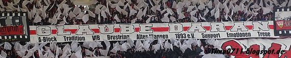 VfB Stuttgart vs FC Erzgebirge Aue (3-1) (18)