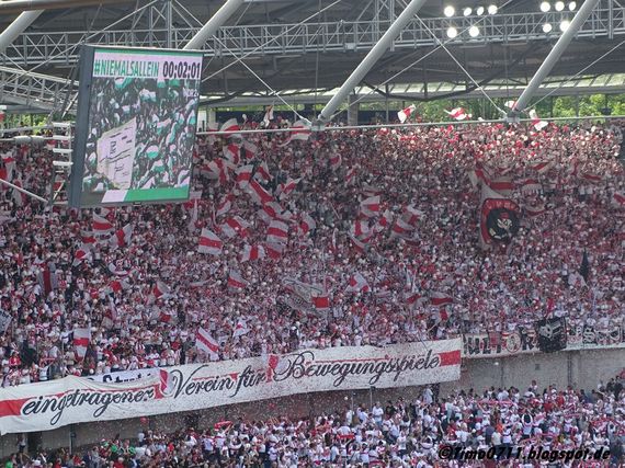 Hannover 96 vs VfB Stuttgart (1-0) (8)