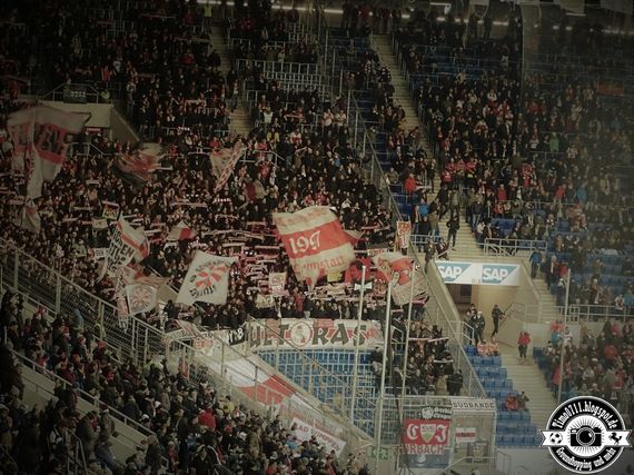 TSG Hoffenheim vs VfB Stuttgart (1-0) (1)
